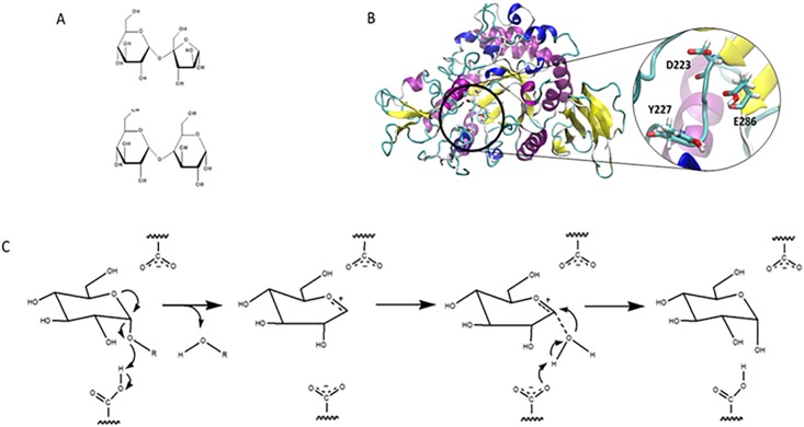 Fig 1