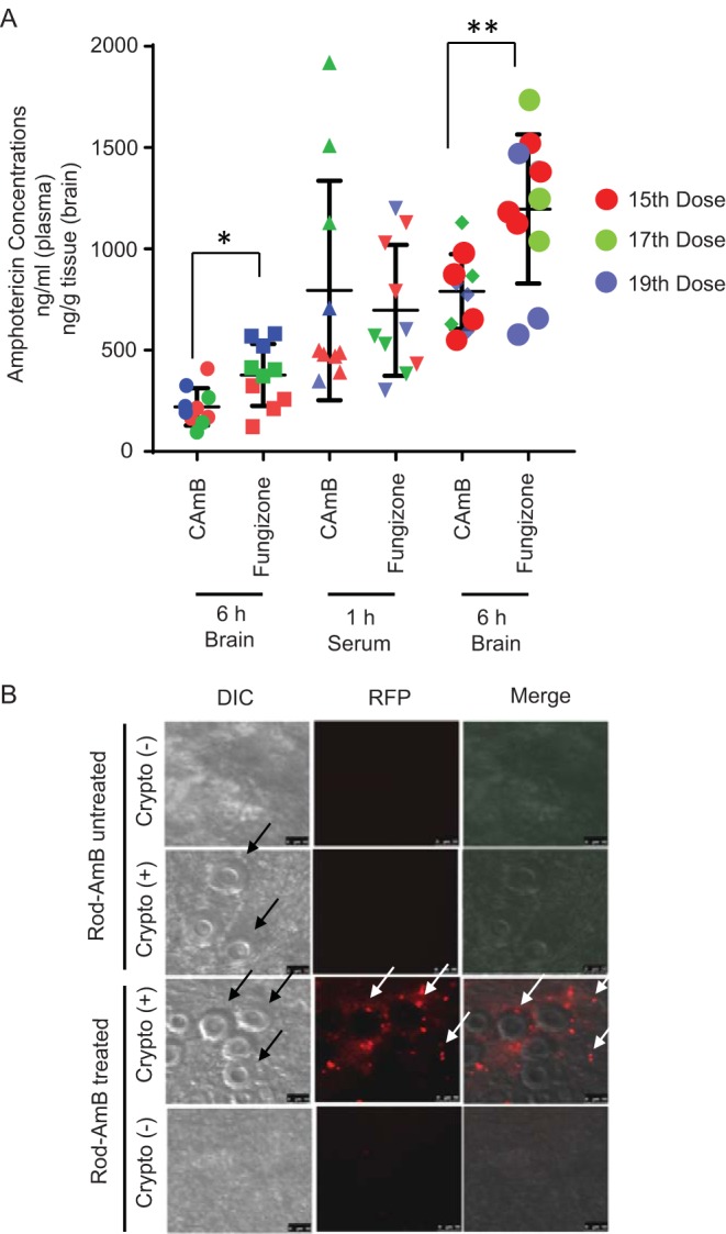 FIG 3