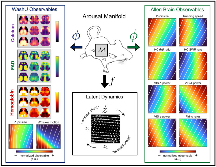 Figure 4: