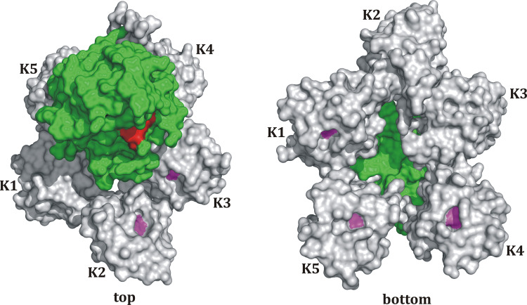 Fig. 4