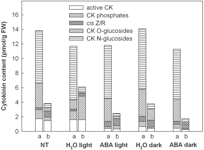 Fig. 7.