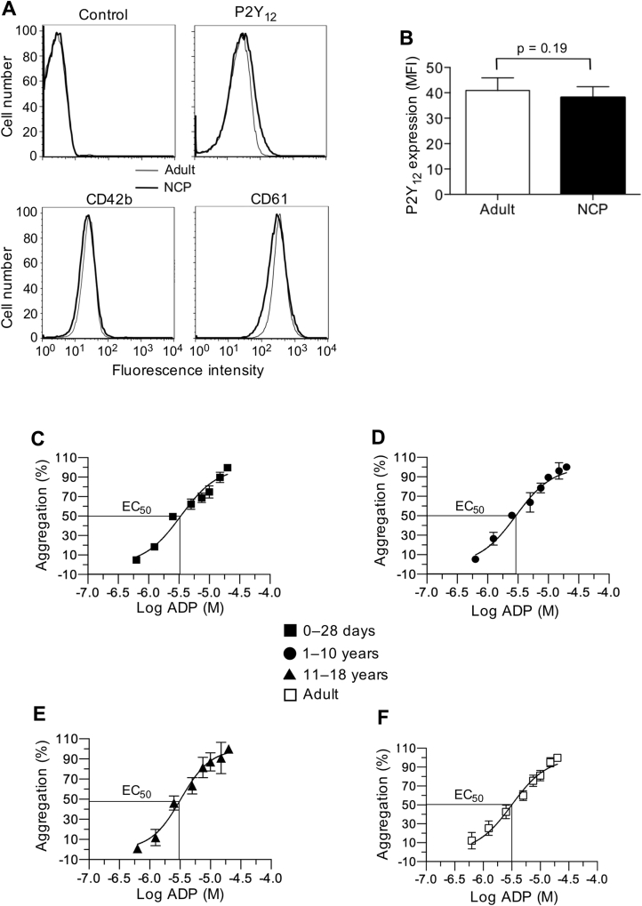 Figure 4