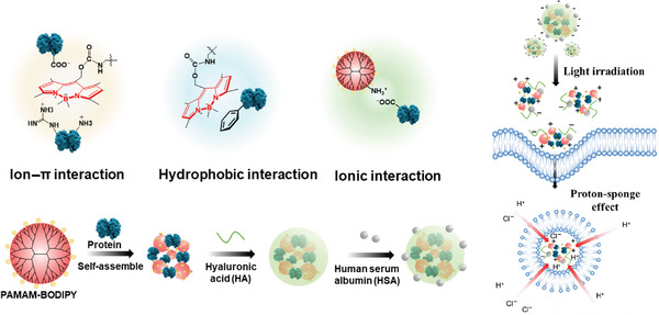 FIGURE 4