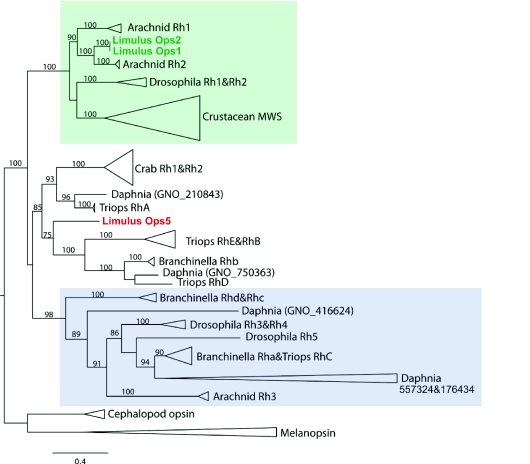 Fig. 2.