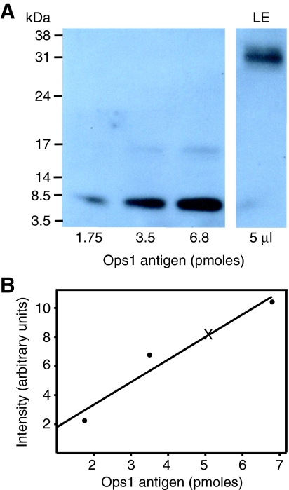 Fig. 11.