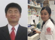 graphic file with name TJP-596-1137-g001.gif