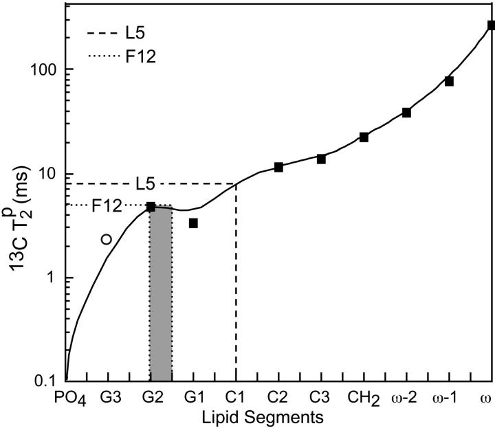 FIGURE 8