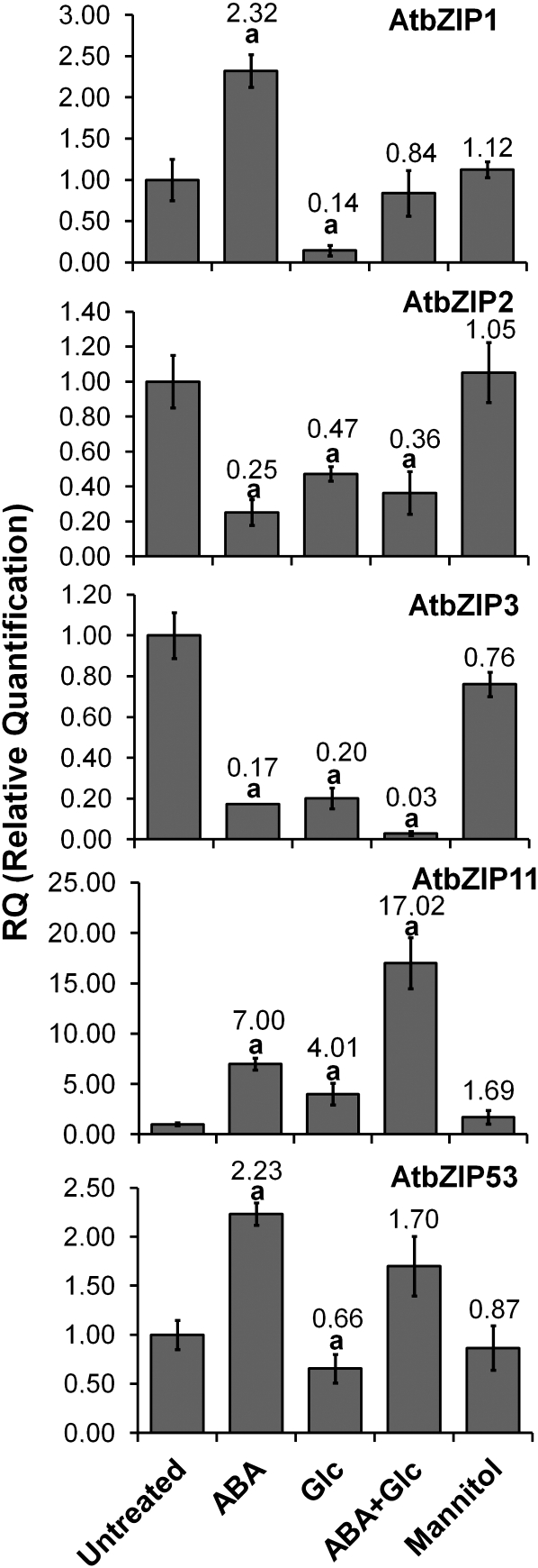 Figure 4.