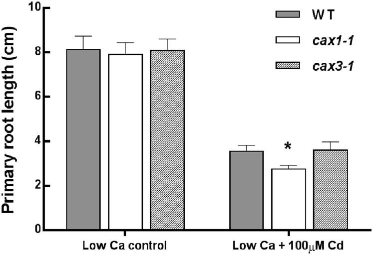 Figure 5.