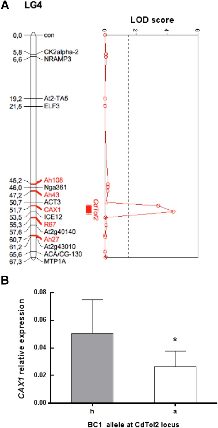 Figure 1.