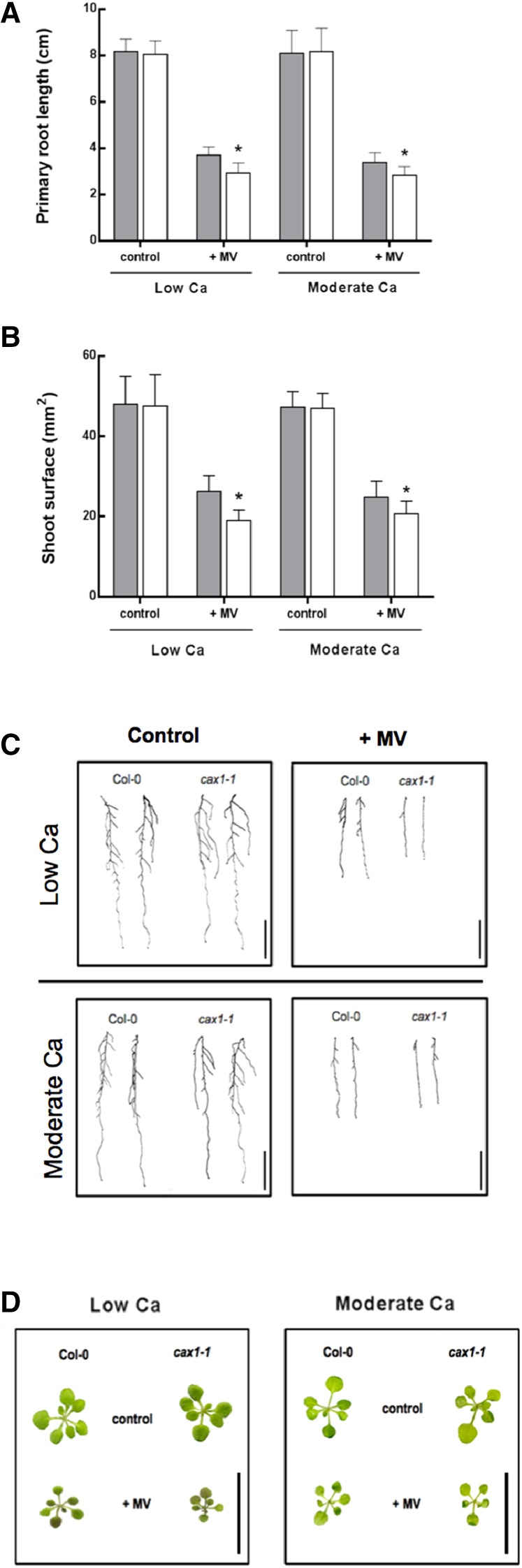 Figure 7.