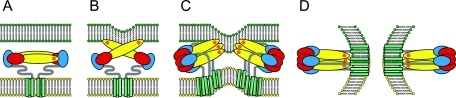 FIG. 3.