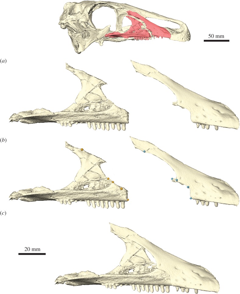 Figure 5.