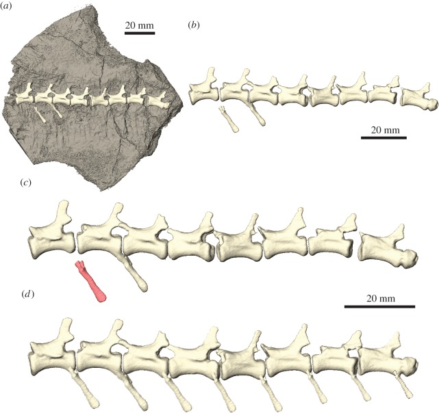 Figure 7.