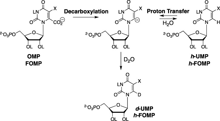 Scheme 7