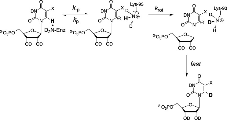 Scheme 12