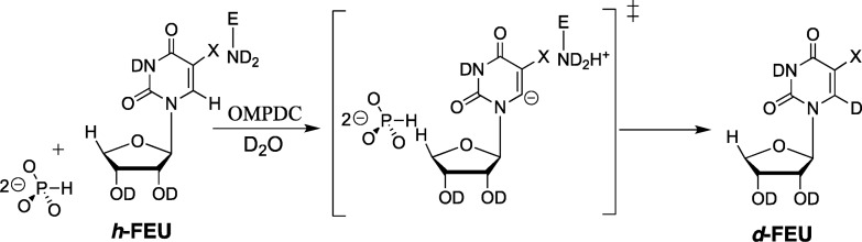 Scheme 8