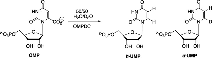 Scheme 10