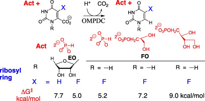 Scheme 4