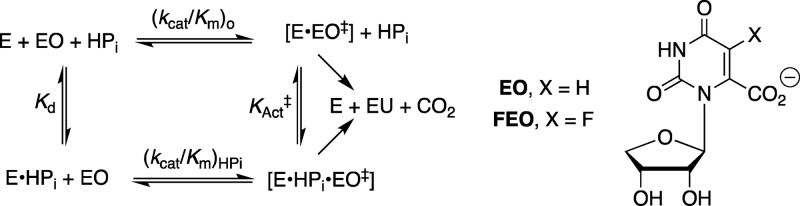 Scheme 3