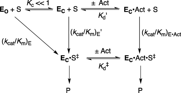 Scheme 5