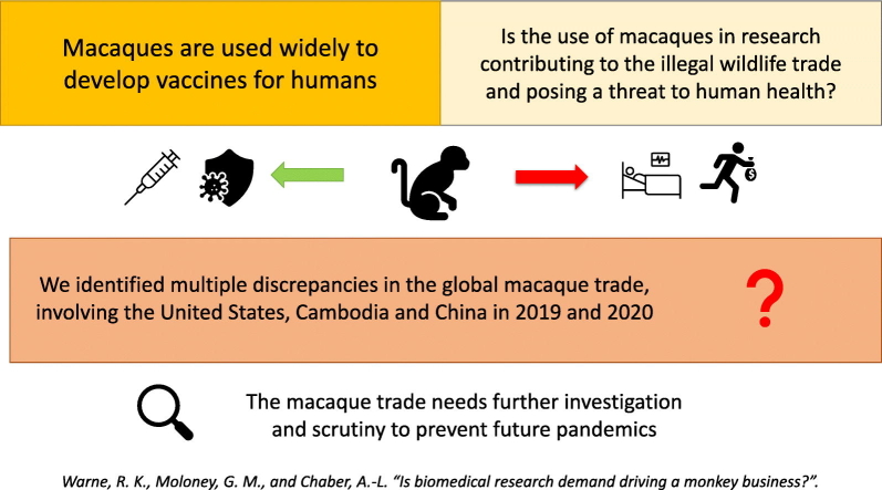 Unlabelled Image