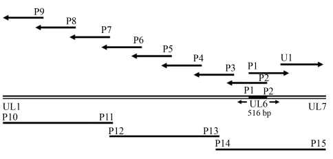 Figure 1