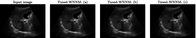 Fig. 5