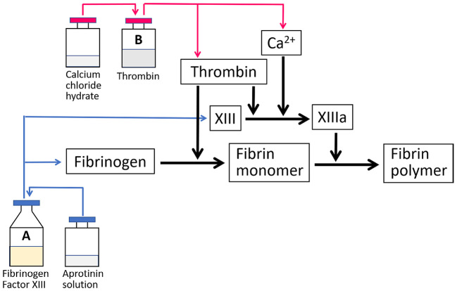 Fig. 1.