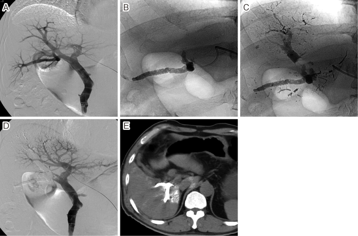 Fig. 6.