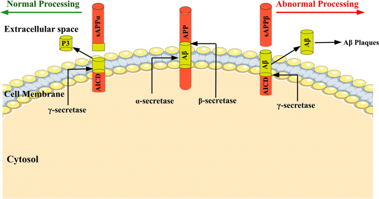 Fig. (1)