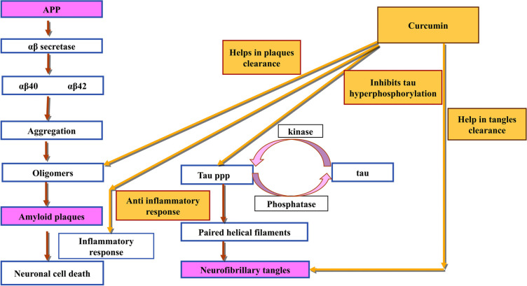 Fig. (3)