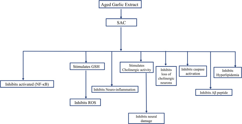 Fig. (11)