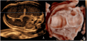 Fig. 8