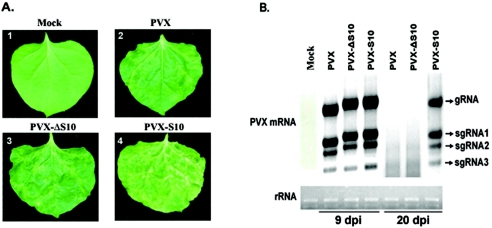 FIG. 7.