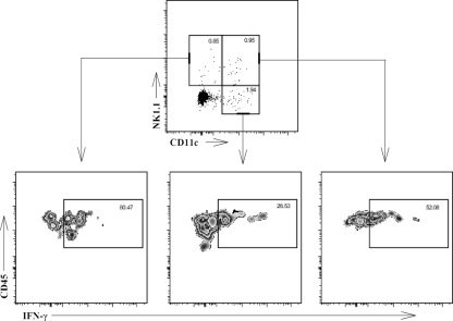 FIG. 5.