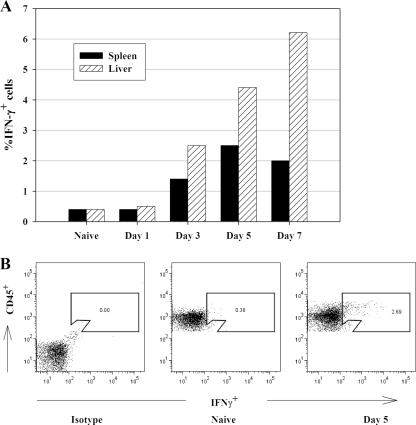 FIG. 3.