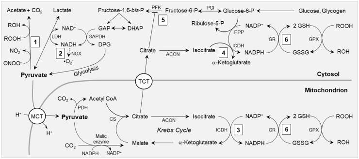 Figure 2.