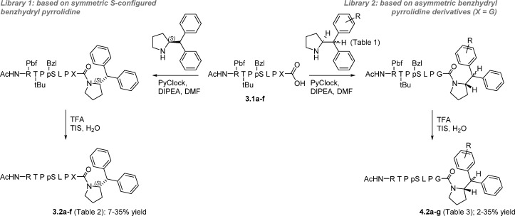 Scheme 2