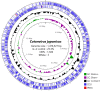 FIG 3