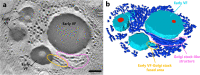 FIG 14