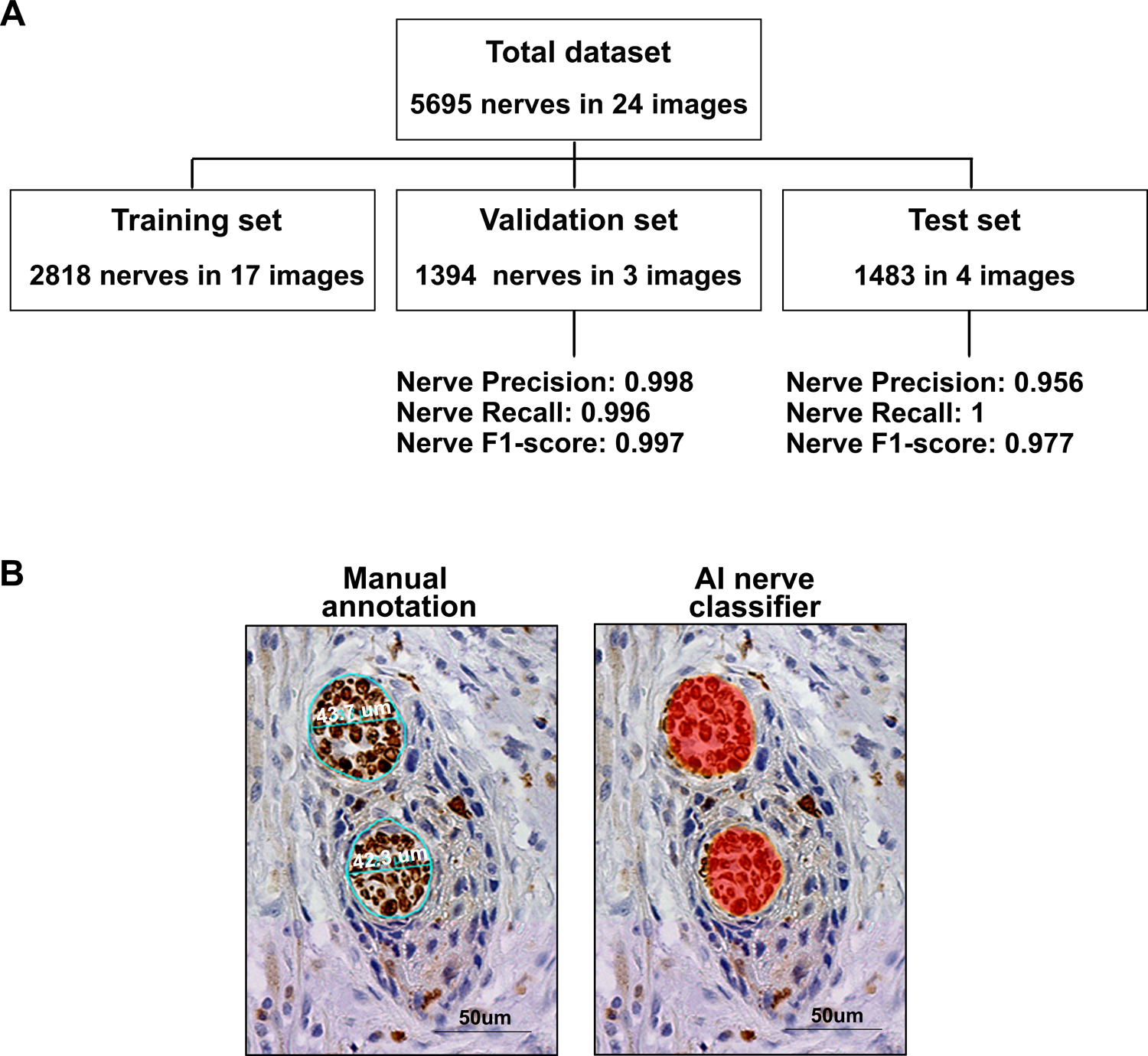 Figure 4: