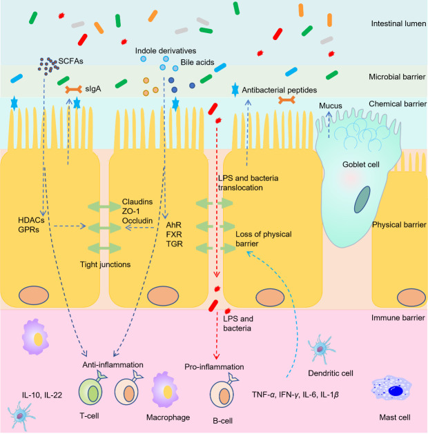 Figure 3.