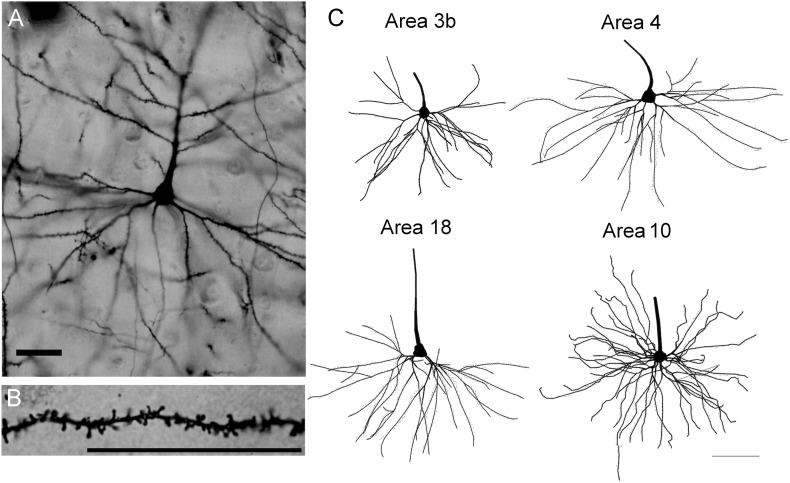 Figure 4.