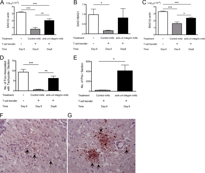 FIG 6