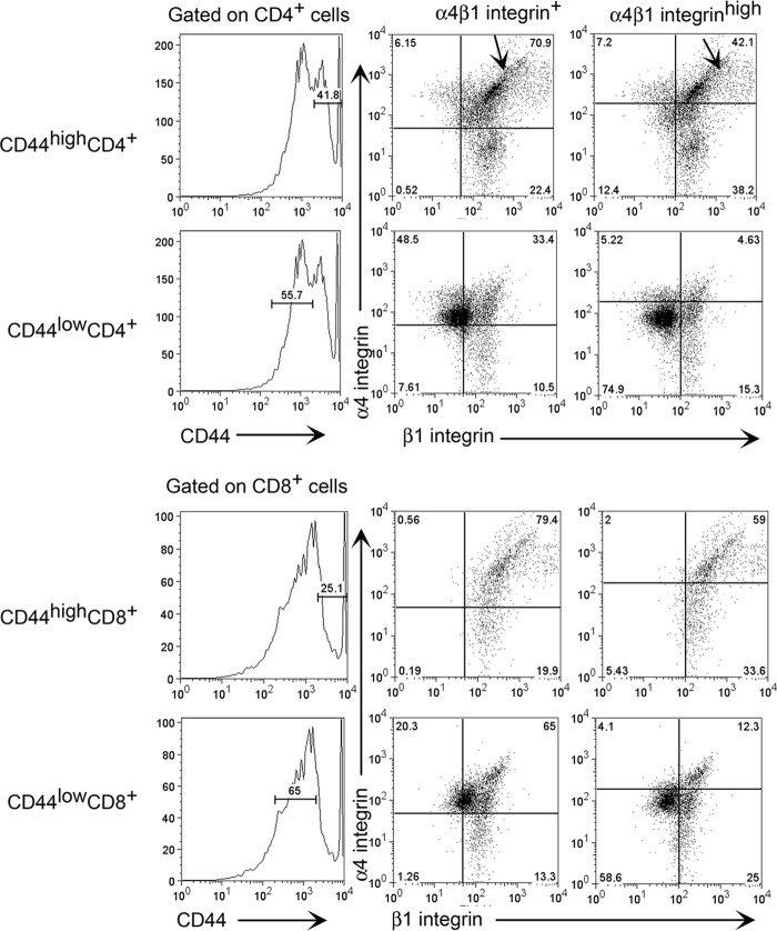 FIG 4