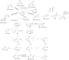 Scheme 5