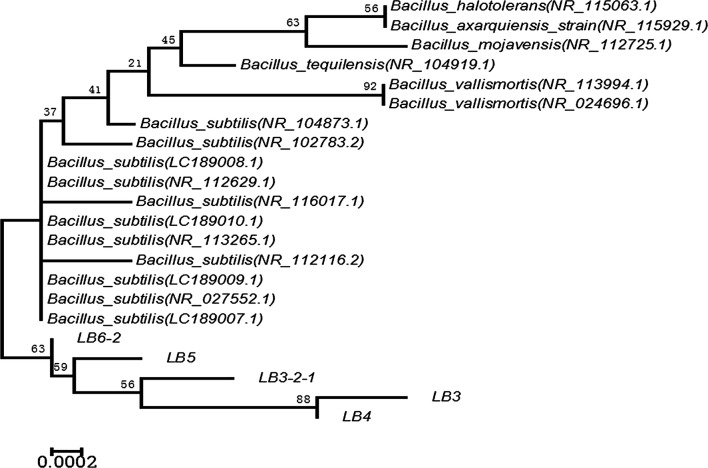 Fig. 2