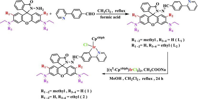 Scheme 2