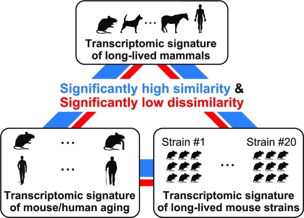 Graphical Abstract